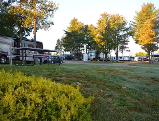 Pumpkin Patch RV Resort